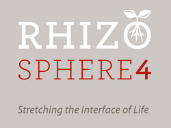 Rhizo4