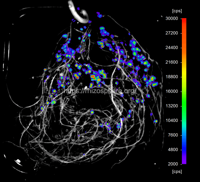 CIAT899_lux_watermark